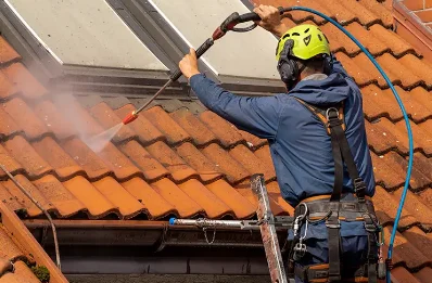 Démoussage et hydrofuge de toiture à Douelle